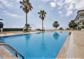 شقة اطلالة بحر في مركز الانيا - غرفتين وصالة ضمن مجمع - مركز الانيا 