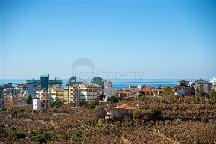 سعر مناسب - شقة غرفتين وصالة مفروشة - في محمودلار / الانيا 