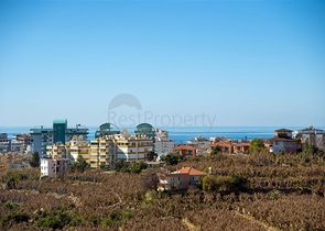 سعر مناسب - شقة غرفتين وصالة مفروشة - في محمودلار / الانيا 