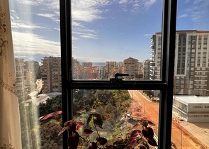 شقة غرفتين وصالة - مطبخ منفصل - ضمن مجمع جديد - في محمودلار / الانيا 