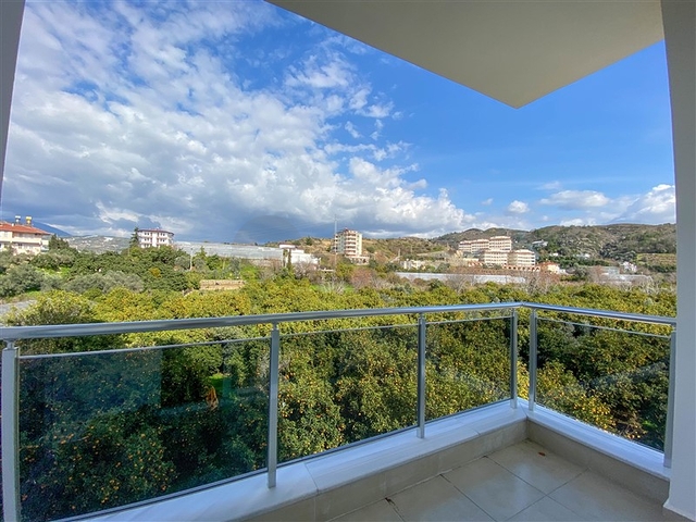 اطلالة على الطبيعة - شقة غرفتين وصالة مفروشة -مطبخ منفصل - في ديمرتاش / الانيا 