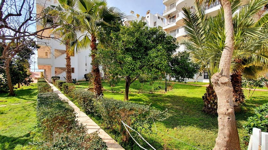 شقة صف اول على البحر - تصميم غرفتين وصالة مفروشة -في محمودلار / الانيا 