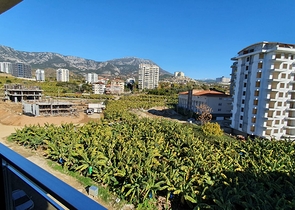 دوبلكس جديدة - غرفتين وصالة مفروشة - في محمودلار / الانيا 