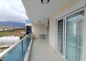 شقة مفروشة - غرفة نوم وصالة -ضمن مجمع يضم خدمات - في محمودلار / الانيا 