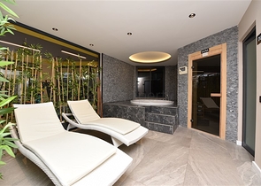 في مركز الانيا - وضمن مجمع سكني فاخر - شقة غرفة وصالة مفروشة .