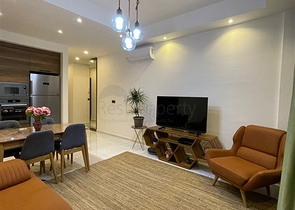 مجمع بخدمات فندقية - شقة غرفتين وصالة مفروشة - في محمودلار / الانيا 