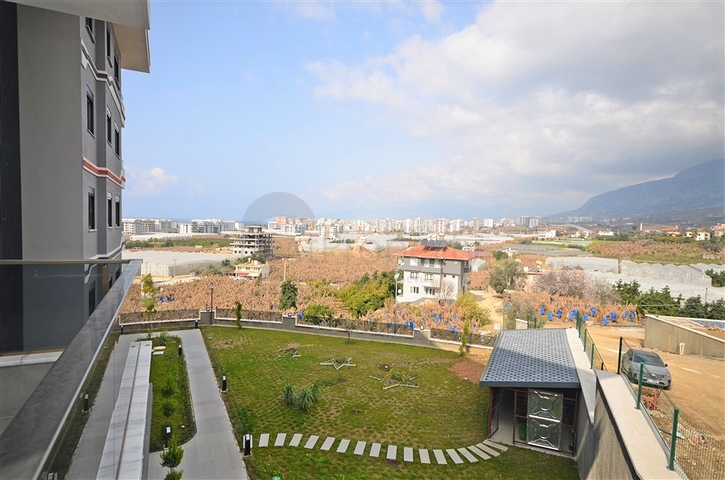 مجمع حديث - شقة غرفة وصالة - في كارجيجاك / الانيا 