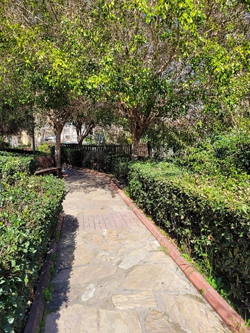 شقق للبيع في مركز الانيا - غرفة نوم وصالة - جديدة . 