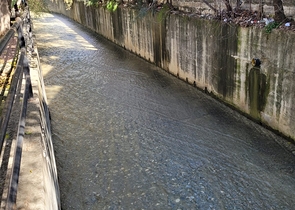 شقق للبيع في مركز الانيا - غرفة نوم وصالة - جديدة . 