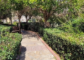 شقق للبيع في مركز الانيا - غرفة نوم وصالة - جديدة . 