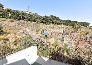 اطلالة بحر وقلعة - دوبلكس 3 غرف وصالة مفروشة - في مركز الانيا 