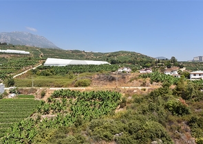 اطلالة بحر - دوبلكس 2 غرفة وصالة - مجمع سكني حديث -  محمودلار / الانيا 