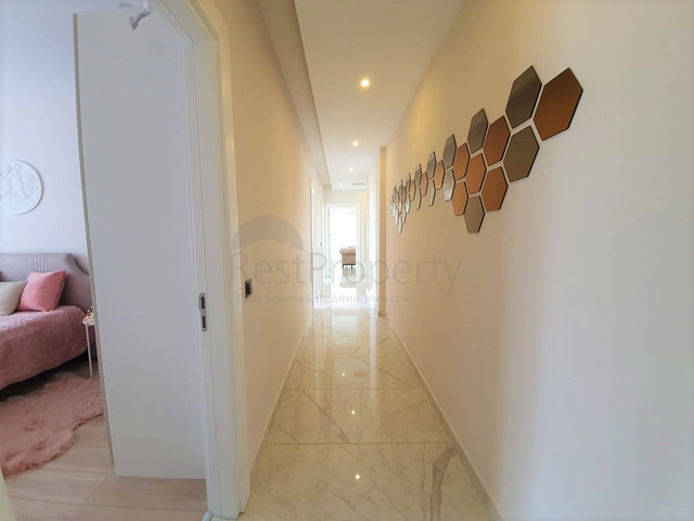 شقق للبيع في مركز الانيا - 3 غرف وصالة - مطبخ منفصل - مركز الانيا 