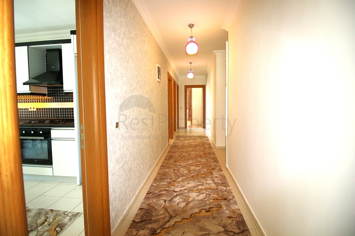 شقة للبيع في محمودلار - غرفتين وصالة -اثاث انيق -في محمودلار / الانيا 