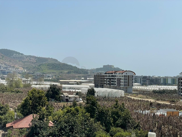 مجمع انيق - شقة غرفة وصالة مفروشة - في محمودلار / الانيا 