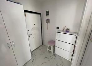 مجمع انيق - شقة غرفة وصالة مفروشة - في محمودلار / الانيا 