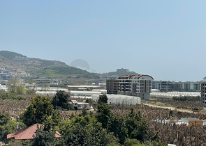 مجمع انيق - شقة غرفة وصالة مفروشة - في محمودلار / الانيا 