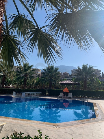 شقة غرفة وصالة - مفروشة - ضمن مجمع سكني في محمودلار / الانيا 