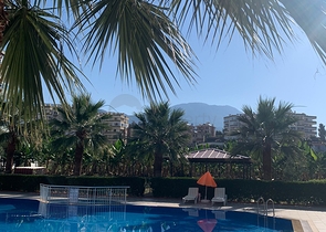 شقة غرفة وصالة - مفروشة - ضمن مجمع سكني في محمودلار / الانيا 