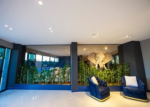 شقة جديدة  - غرفة وصالة مفروشة -ضمن مجمع - في محمودلار / الانيا 