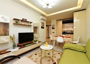 شقق 1+1 في وسط ألانيا 