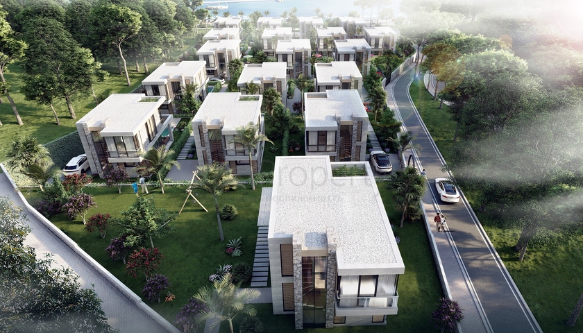 فلل جذابة محاطة بالطبيعة الخصبة