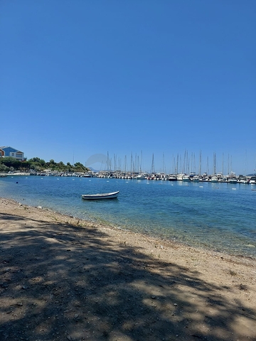 فلل جذابة محاطة بالطبيعة الخصبة