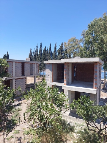 فلل جذابة محاطة بالطبيعة الخصبة