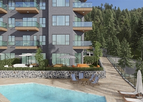 مشروع استثماري في وسط ألانيا