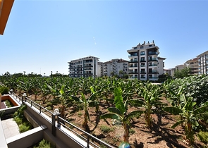 شقق واسعة في كيستل