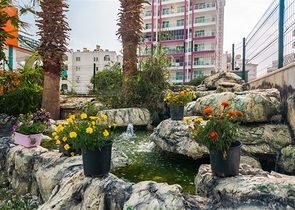 شقة بغرفة نوم واحدة في محمودلار 