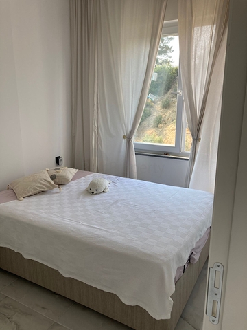 شقة مفروشة 1 + 1 في مجمع أفسالارا الجديد