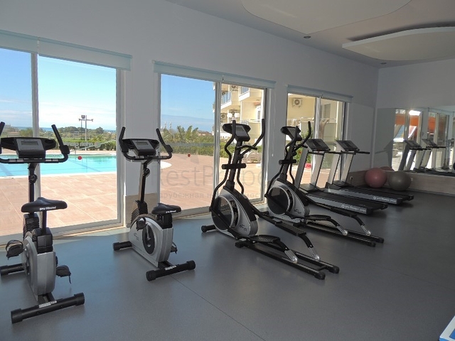 شقق 2+1 في حي أفسالار