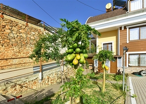 فيلا فسيحة 11 + 2 مع قطعة أرض خاصة وإطلالات بانورامية على البحر