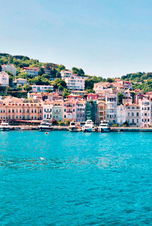 شركة ريست بروبرتي العالمية شركة ريست بروبرتي العالمية