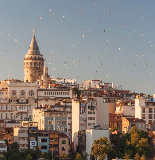 بيع العقارات ونقلها كإرث بيع العقارات ونقلها كإرث